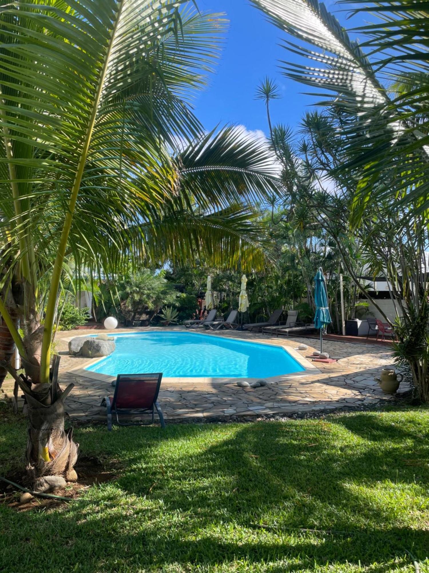 Villa Albizia 974 Avec Piscine Et Spa Saint Pierre Buitenkant foto